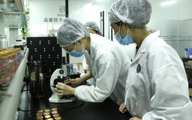 品鑒即食燕窩oem貼牌工廠:代加工初心可&ldquo;品鑒&rdquo;!